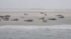 HWK Texel 2015 075_small.jpg